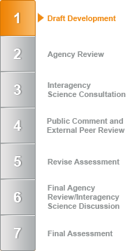 Quick check is a visual indication of the current step that this IRIS assessment has started or is in.